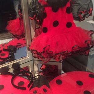 Ladybug Halloween Costume